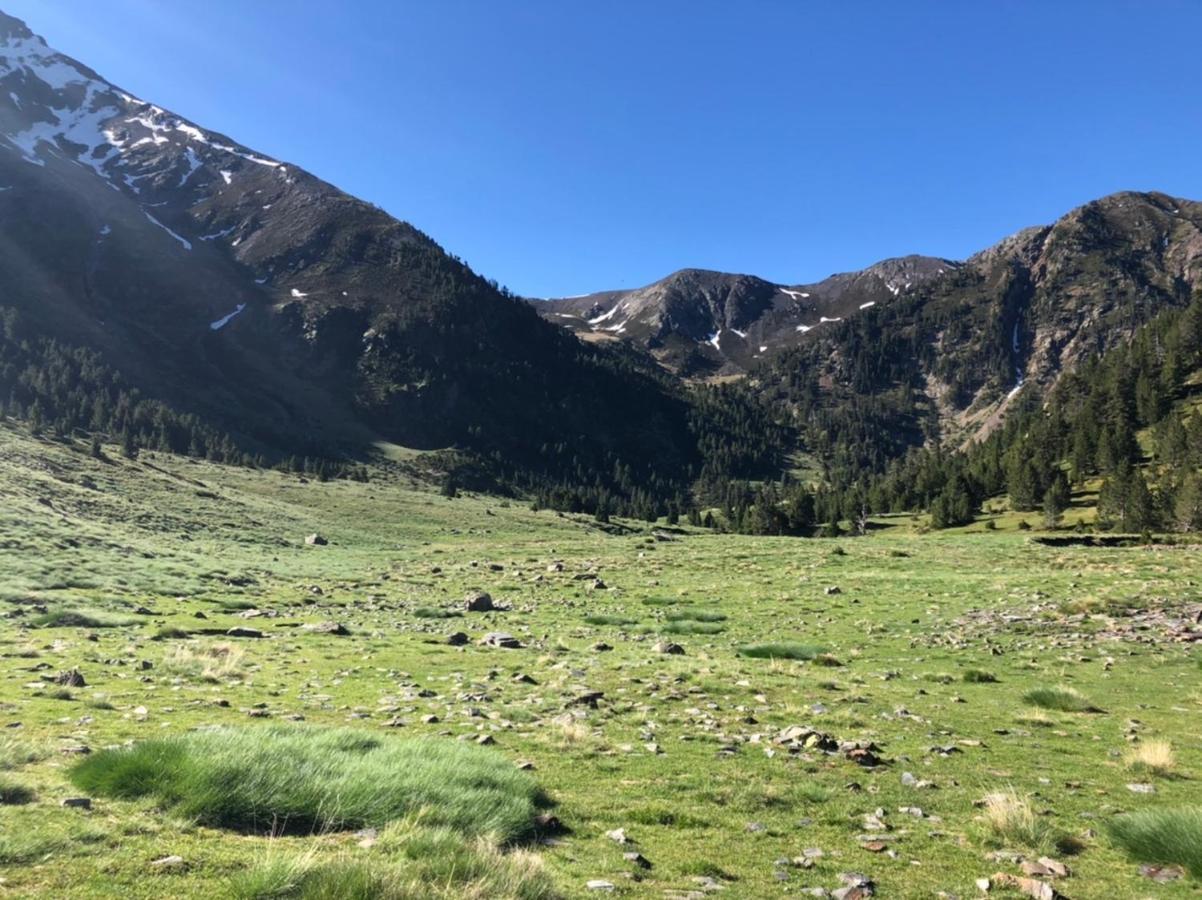 Hostal Pirineos Meliz بييلسا المظهر الخارجي الصورة